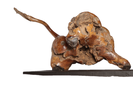 lion1