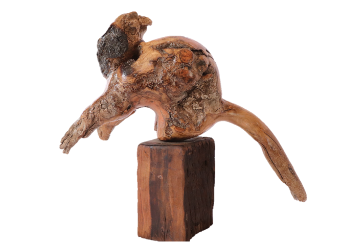 monkey1